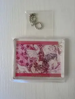 種村有菜30周年記念展 桜姫華伝 コロッタ
