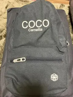 Item thumbnail for item 78ebe399-e2ce-4417-ac46-87e22732ad1a