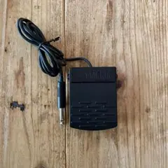 Item thumbnail for item 31ff3dab-25a6-4160-9f50-329a248eaee8