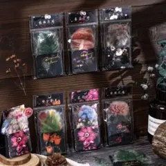 海外 紙もの クリアシール 6種 花 キノコ 薔薇 チューリップ SP27