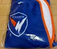 Item thumbnail for item aa543929-04a0-4b50-bec6-b6ddc36deae8