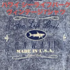 Sea Life Park シャークプリント Tシャツ