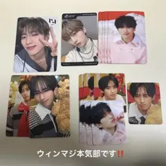 許豊凡　トレカ ウィンマジ ジオリ XQUARE まとめ売り