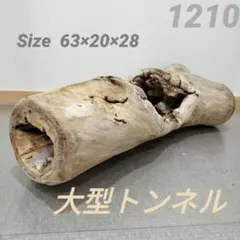 先着【引取り可の方】苗箱 田植え 農機具 プラスチック製トレイ 300枚