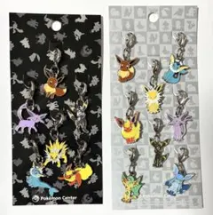 ポケモン ブイズ 全国ずかん メタルチャーム 外袋なし