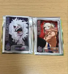 ヒロアカ ステータスカードコレクション 死柄木弔 トガヒミコ