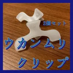 Item thumbnail for item 210fbe57-e28d-477a-b521-8d97edaf5335