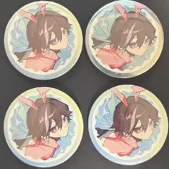 CrazyRaccoon CRフェス ランダム缶バッジ <とっぴー> 4点