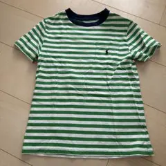 POLO RALPH LAUREN 緑白ストライプ Tシャツ 120cm
