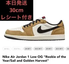 Nike Air Jordan 1 Low Rookie of the Year
