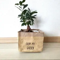 可愛い!!　観葉植物カバー　鉢カバー　小物入れ ガーデニング