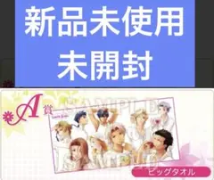 ときめきメモリアル Girl's Side ときメモGS アニくじ