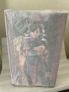 Λucifer Cの微熱 JUNKCITY 2枚 レア特典 ホログラムシール 付 Λucifer Cの微熱 JUNKCITY 2枚 レア特典 ホログラムシール 付 - メルカリ