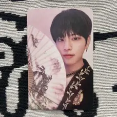 Stray Kids スンミン subk in生 トレカ