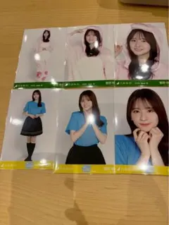 川﨑桜 真夏の全国ツアー2026 ツアーTシャツ 恐竜 福井 6種 川﨑桜 真夏の全国ツアー2026 ツアーTシャツ 恐竜 福井 6種 - メルカリ