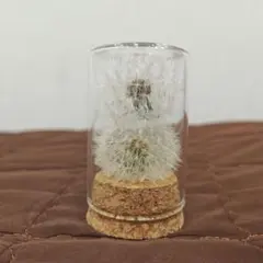 Item thumbnail for item 4415c35a-a8e4-4d99-afc0-7b1ea72c29c0