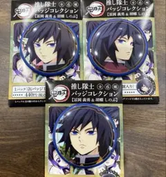 鬼滅の刃 推し隊士バッジコレクション 冨岡義勇