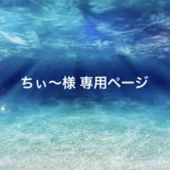 ちぃ～様専用ページ 他のお客様のご購入はお控え下さい