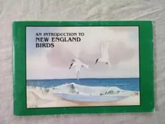 An Introduction to New England Birds 洋書