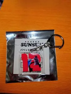 パペットスンスン GIGO限定 アクリルキーホルダー12