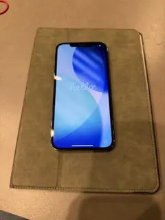 iPhone12pro MAX 256G