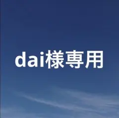 dai様 リクエスト 2点 まとめ商品