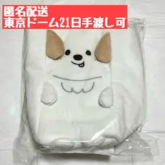 RIIZE RIIZING LOUD ファンライトバッグ アントン ②