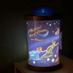 【最終値下げ】ディズニーシーグッズ　ポップコーンバケット　ビリーブ