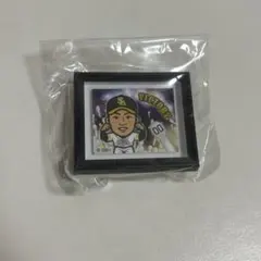 若鷹ガチャ 渡邉陸 ミニ額縁