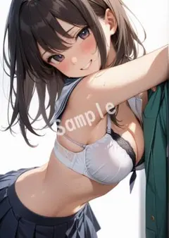 アニメファンアート JK グラビア A4 ポスター イラスト ★00089112