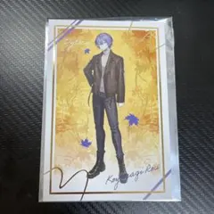 小柳ロウ まねきねこ 箔押しポストカード