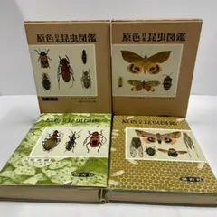 2026年最新】原色日本昆虫図鑑の人気アイテム - メルカリ