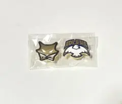 ハイキュー ピンバッジ セット