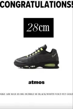 Nike Air Max 95エアマックス95原宿 28.0cm