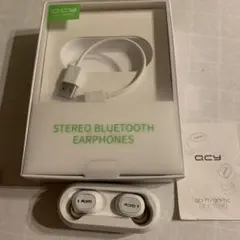 ジャンク品QCY ワイヤレスイヤホン 充電ケース付き
