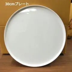 ひーちゃん様専用