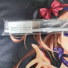 Purple software 何度目かのはじめまして　ソフマップ　タペストリー