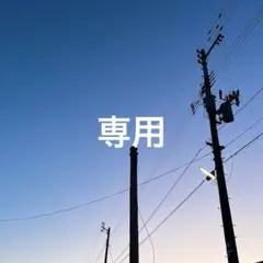 panda☆[値下げ交渉OK]様 リクエスト 2点 まとめ商品