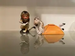 朝隅俊男 アニマルキャンプ