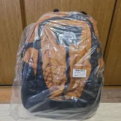 Item thumbnail for item 8ea37f39-f2ef-473f-a487-d8f130310390