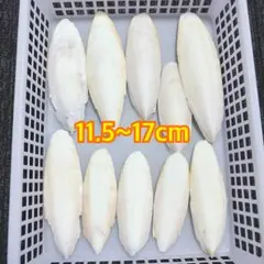 ㊳カトルボーンのサムネイル