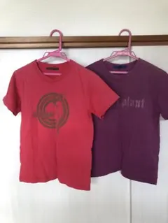 Item thumbnail for item ff312c72-9061-40f5-866f-9fce50fdbbc7