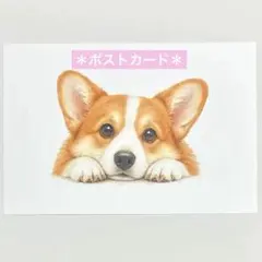 ちょこんとコーギー♡オリジナルイラスト♡ポストカード＊