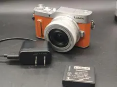2025年最新】lumix GF1 レンズの人気アイテム - メルカリ