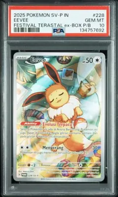 【インドネシア版】イーブイプロモ　インドネシア