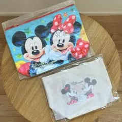 ディズニー　ミッキー　ミニー　ポーチ　ランチトートバッグ　セット　英語システム