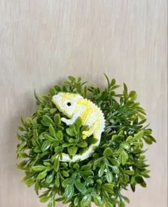 【ちびレオン】［レモンスカッシュ］　カメレオン　あみぐるみ　ハンドメイド