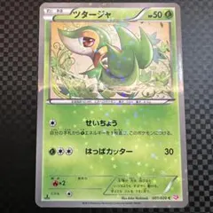 ツタージャ C BW シャイニーコレクション　SC 001/020