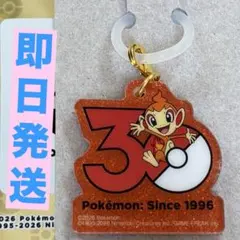 ポケモン★ポケチャーム★30周年ロゴ★めじるしアクセサリー★ヒコザル