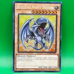 遊戯王 ブルーアイズ・ホワイト・ドラゴン 英語版 プリシク MP 北米版
